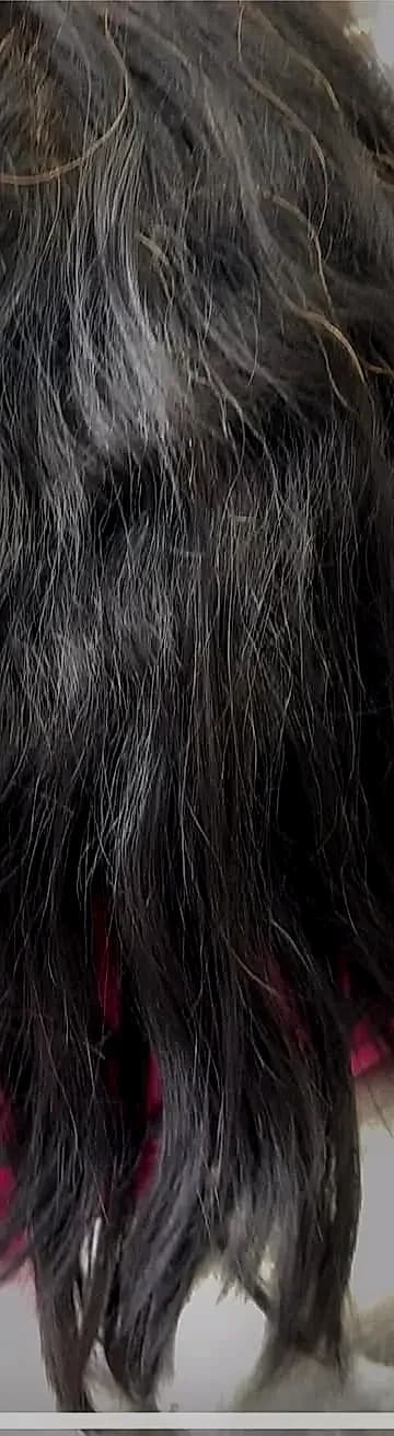 Frizzy damaged hair before keratin treatment