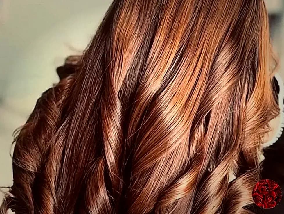 Rich cherry brown curls with warm highlights